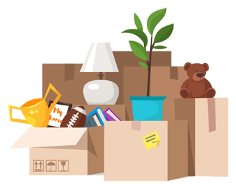 Boxes with a plant, teddy bear, lamp, trophy, foot